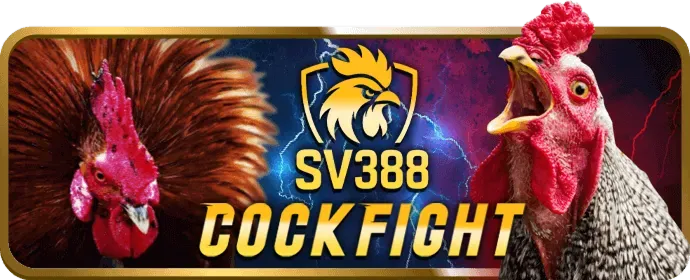 Hệ thống bảo mật 55win